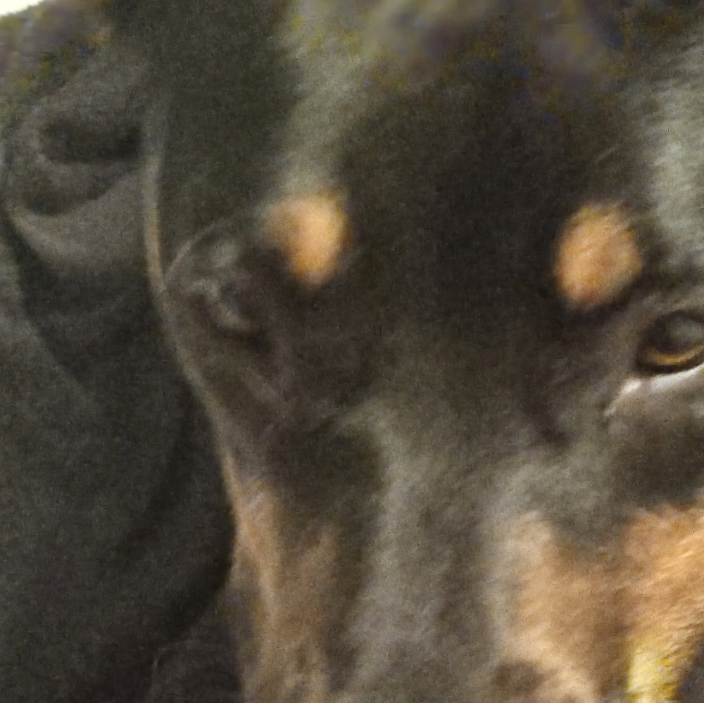 Meet your Posher, Raku